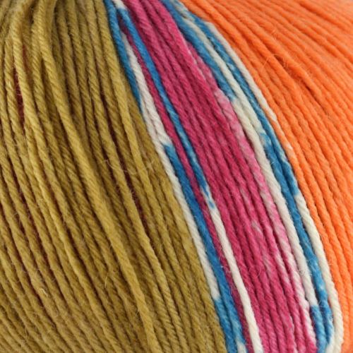 Sort. 332 - Winter Color - 2798