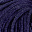 0050 - pflaume (passend zu Colorfarbe 0086)